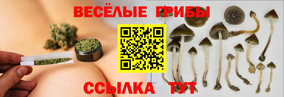 Псилоцибиновые грибы Psilocybine cubensis  Псилоцибиновые грибы GOLDEN TEACHER  Можга  Вход с VPN 